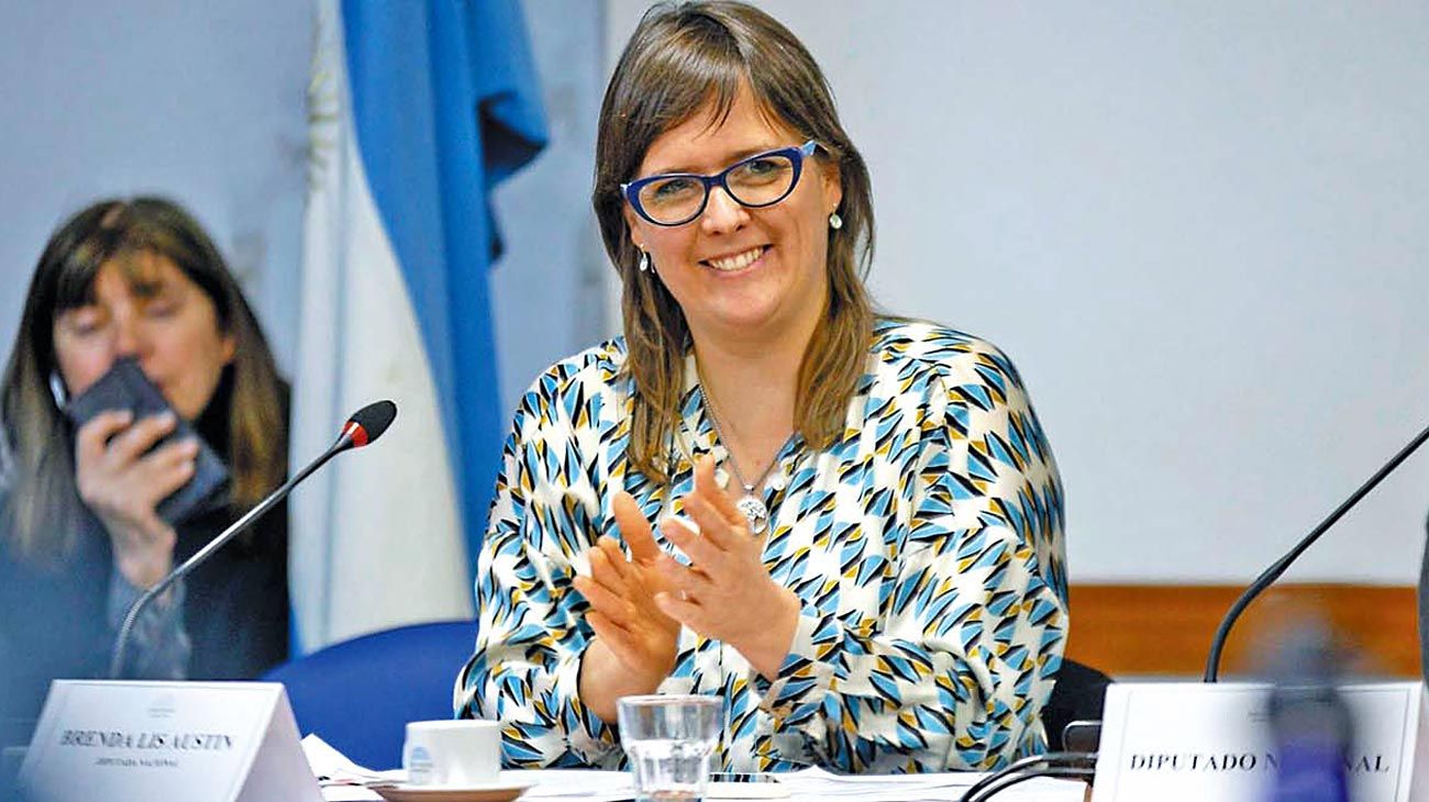 Brenda Austin: "Veo la falta de un plan en el Gobierno, incapacidad de anticipar"