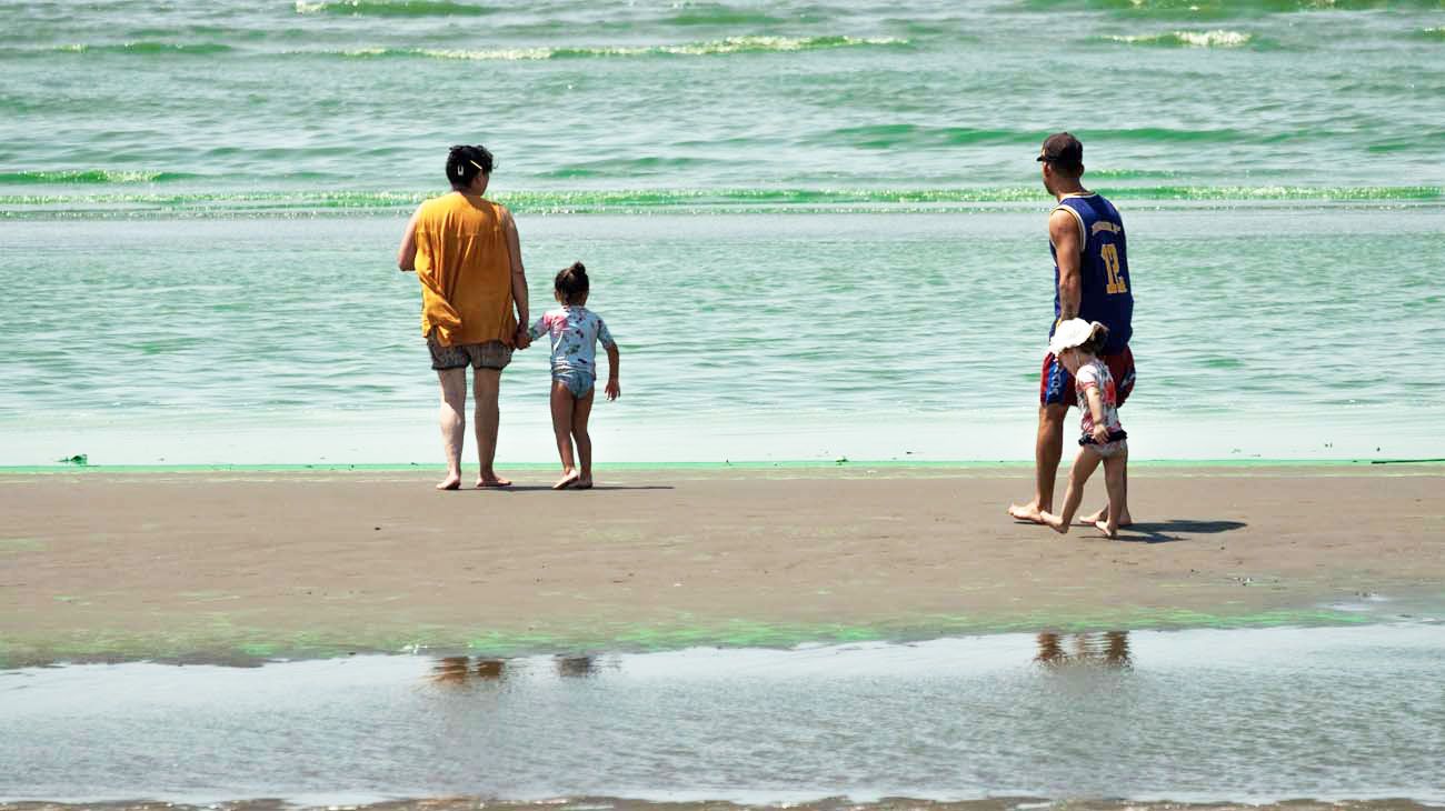 Alerta por aumento de cianobacterias