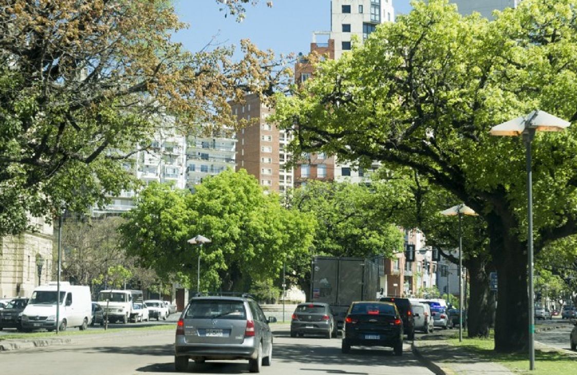 Crean un modelo que estima cómo los árboles reducen la temperatura en zonas urbana