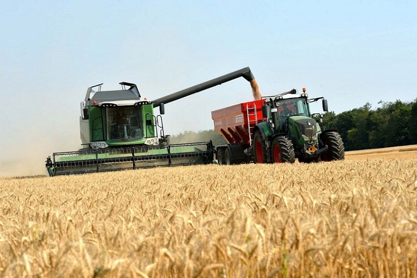 El superávit comercial de 2019 rondará US$ 12.500 millones, estimó Ecolatina