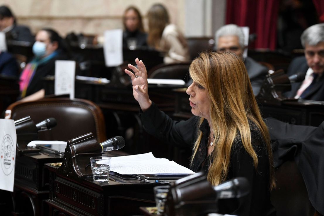 Alejandra Torres: la “paternidad” del PPP, la agenda del Congreso y el caso Espert