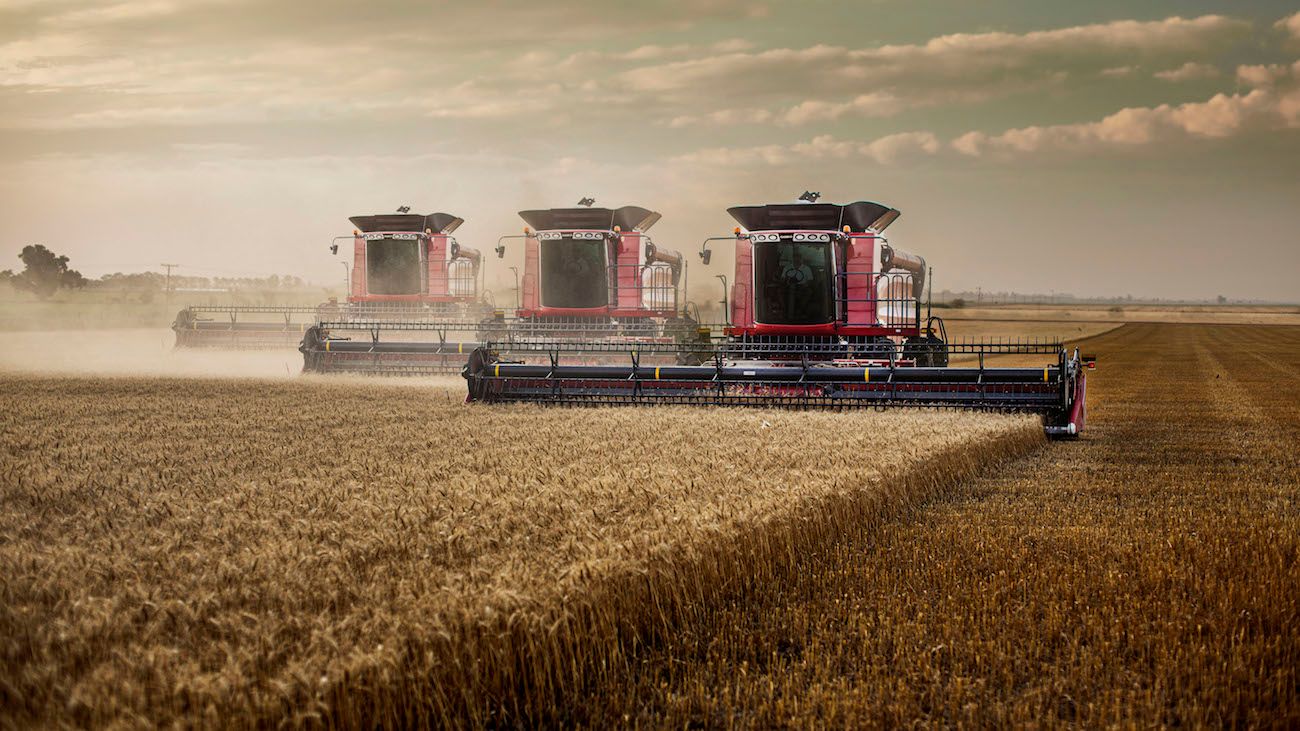 La Agroindustria y el desafío de afrontar la transformación digital