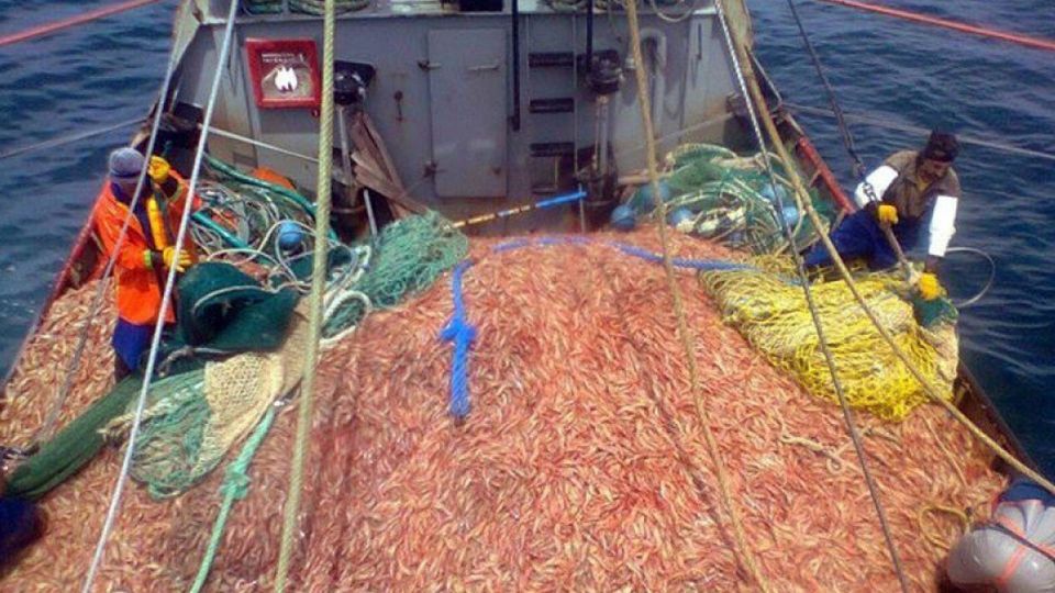 Trabajadores de la pesca dejarán de pagar Ganancias por adicionales