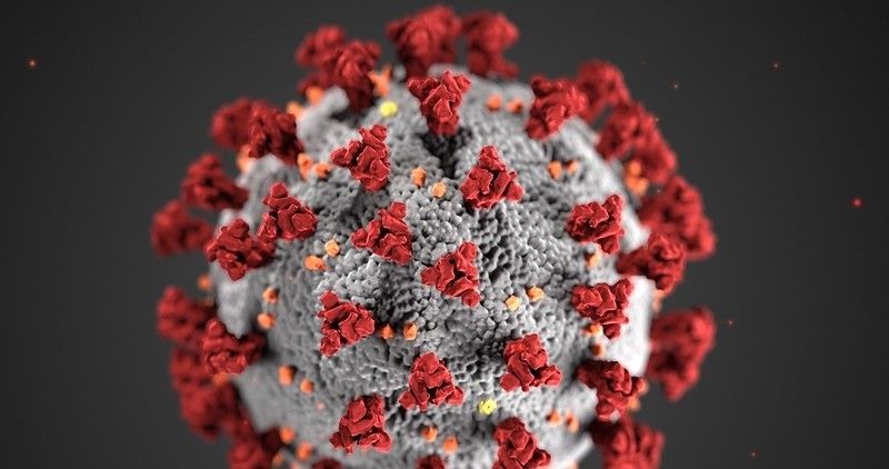 Impacto del virus en el psiquismo