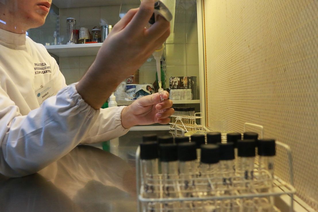 La UNNE recupera una carrera histórica: el Consejo Superior aprobó la creación de Farmacia