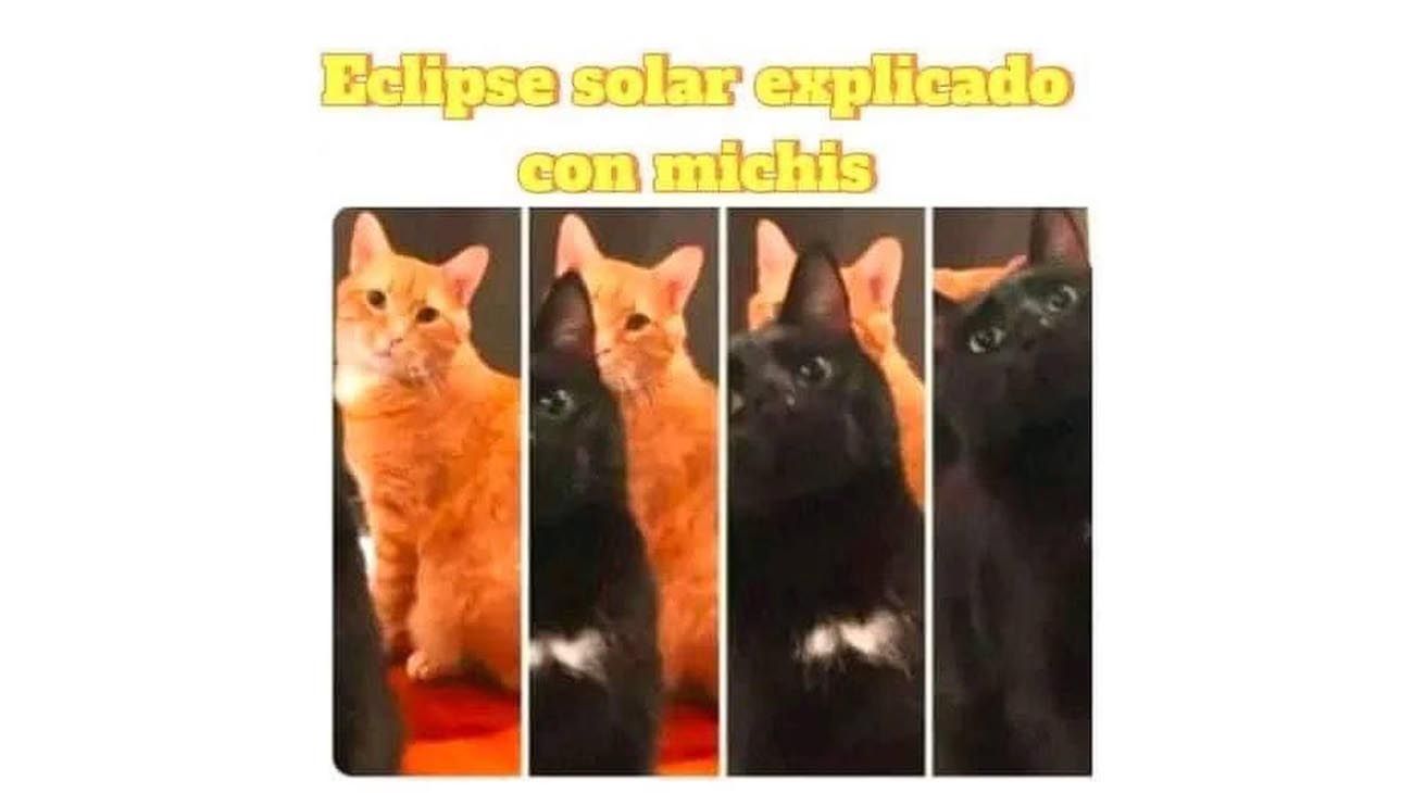 Eclipse Solar 2024: los polémicos memes que se viralizaron en las redes sociales