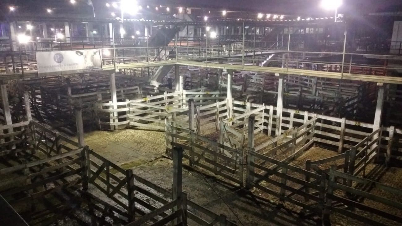 Paro del campo: segundo día sin entrada de animales en el Mercado de Liniers