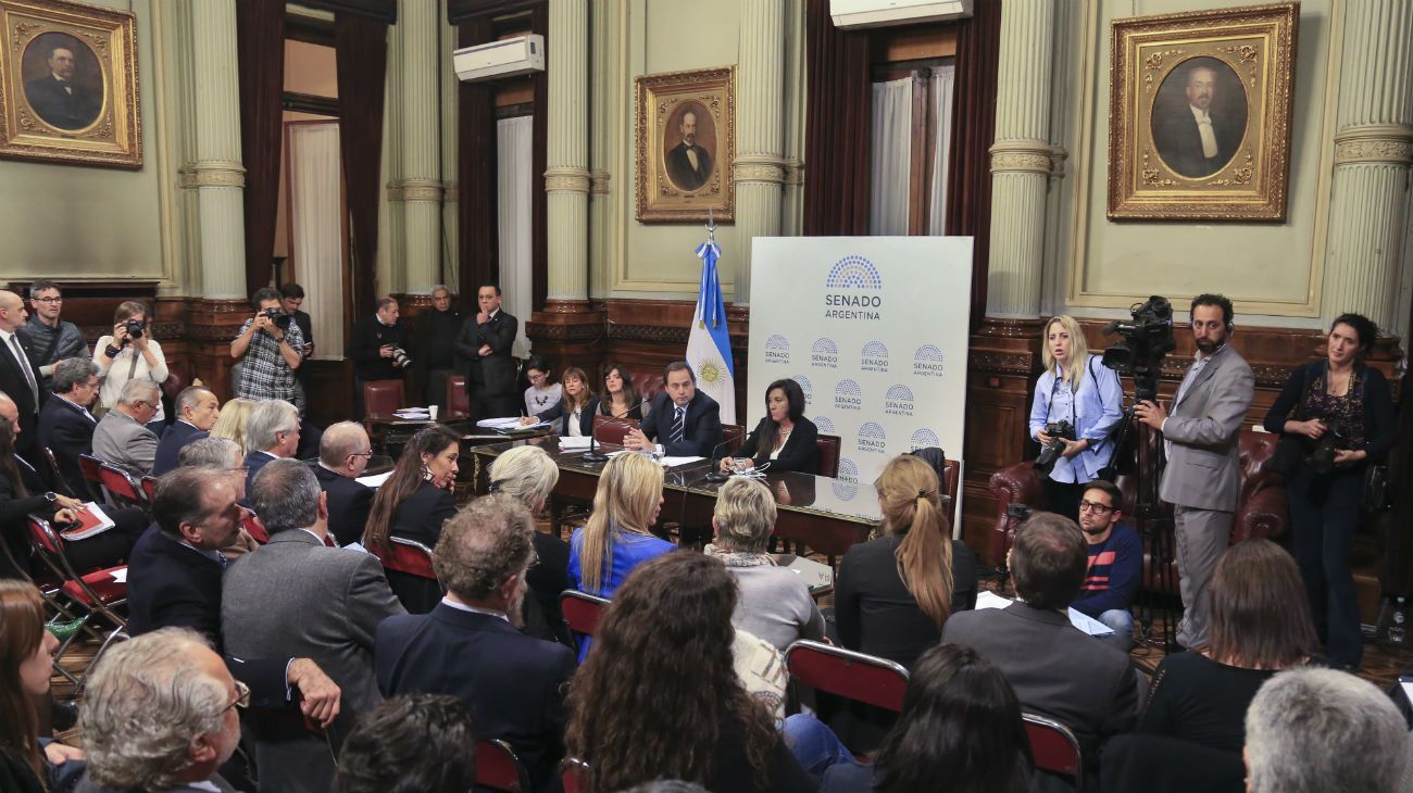 Dictamen del Senado por allanamientos de despacho y domicilios de CFK