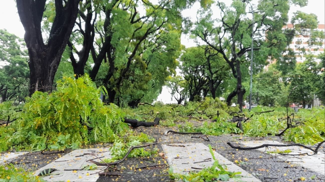 Cómo sigue el clima en Buenos Aires y qué provincias continúan en alerta tras el temporal