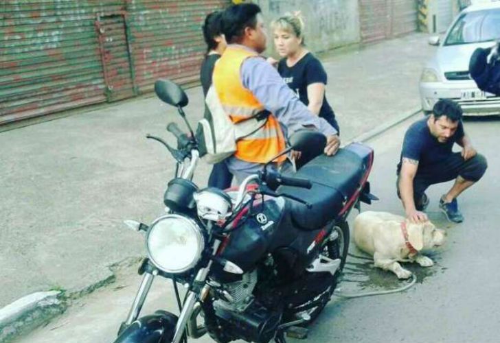 Video | Ató a un perro a su moto y lo arrastró varias cuadras
