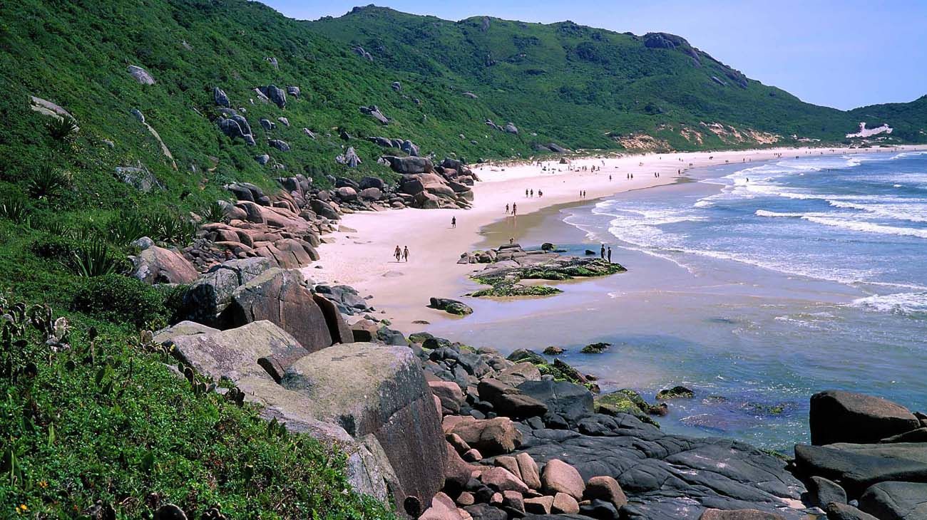 Florianópolis tuvo el virus covid-19 antes que China