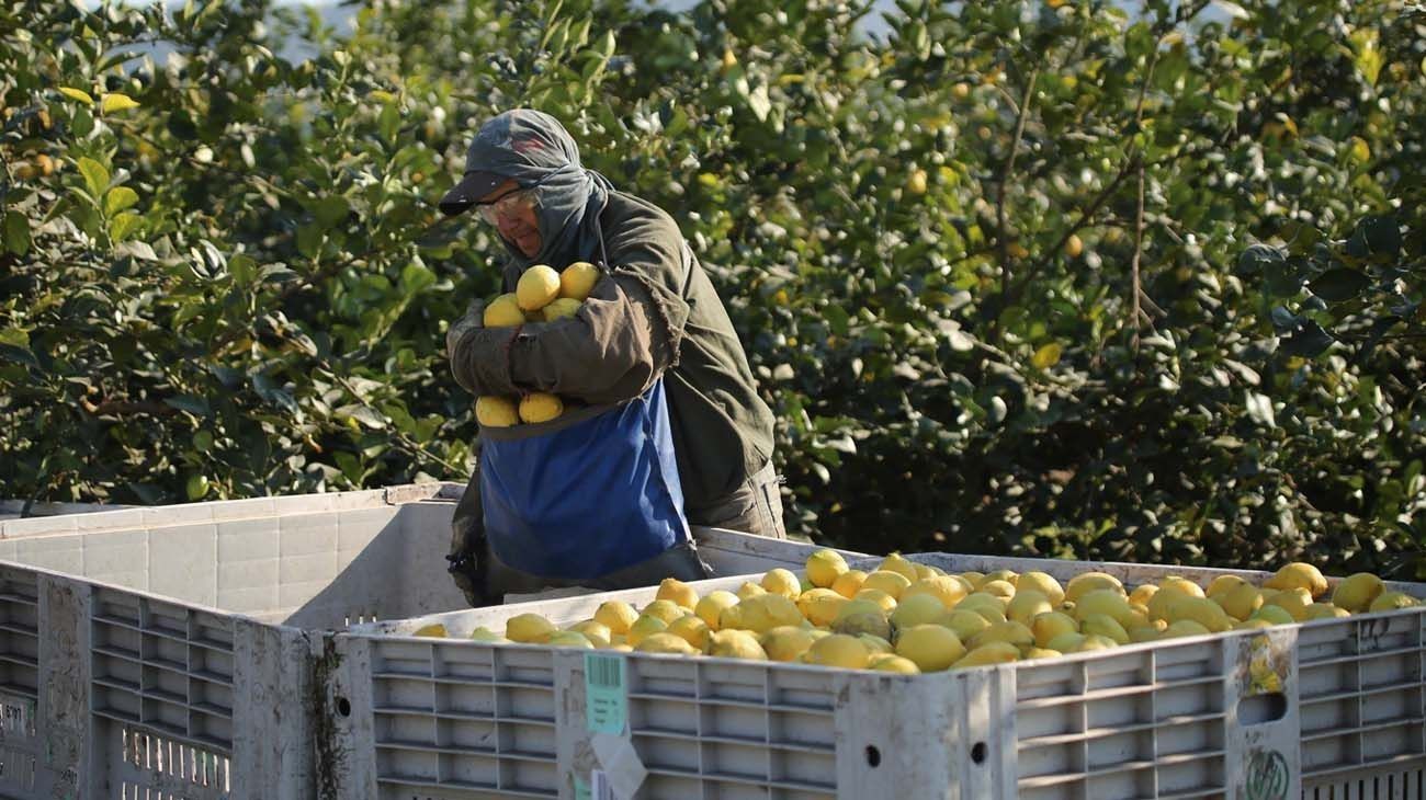 Desde CAME afirman que, "el consumidor paga, en promedio, 3,4 veces más de lo que recibe el productor”