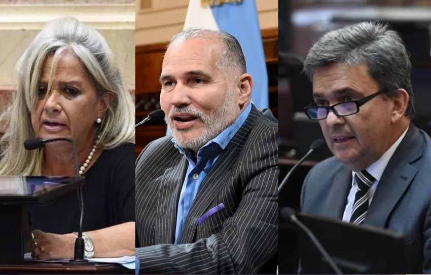 Discapacidad y DNU: cómo votaron los senadores del Chaco en la jornada que complicó a Milei