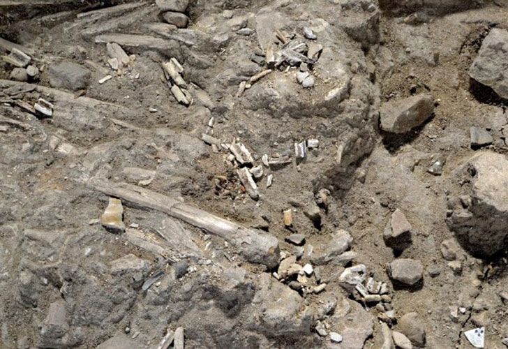 Excavaciones en Río de Janeiro revelan un pasado negro