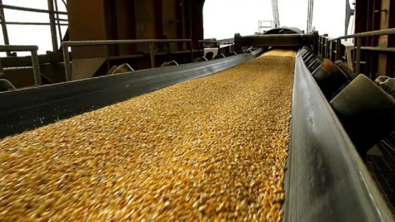 Exportaciones del campo marcarán un nuevo récord en el primer cuatrimestre