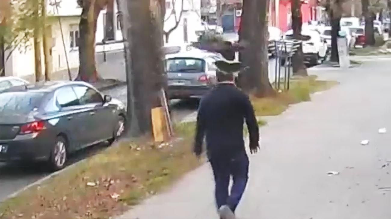 Video | El momento preciso en que un pájaro ataca a un hombre que caminaba por La Plata
