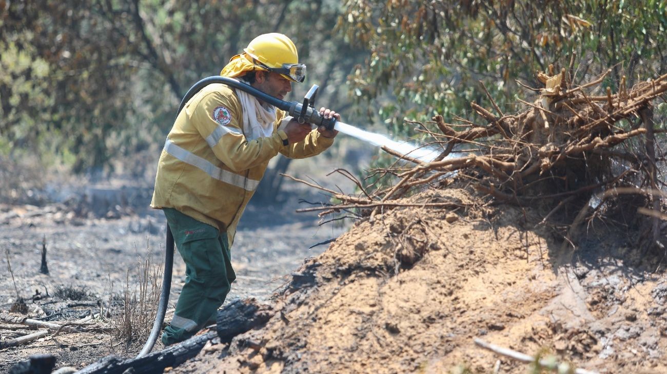 Incendios en Corrientes: Valdés pidió apoyo de la Unión Europea y eximió de impuestos a los afectados