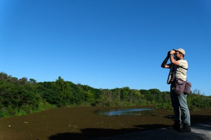 Avistaje de aves: Argentina está entre los paises de mayor crecimiento de practicantes de este hobby