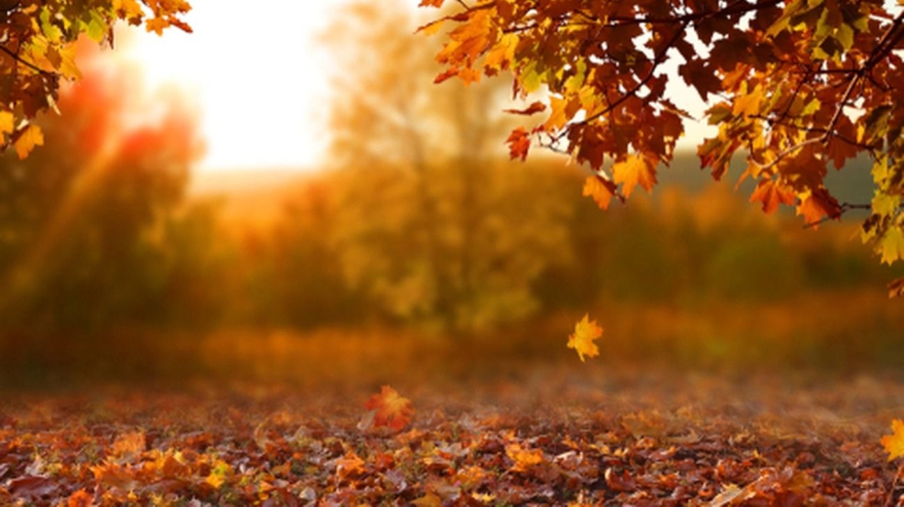 Este jueves 19 de marzo comienza el equinoccio de otoño: por qué el día dura lo mismo que la noche