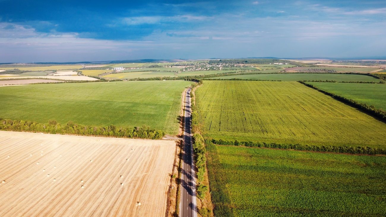 La compraventa de campos pierde impulso: “La realidad es que no hay muchos campos buenos a la venta”