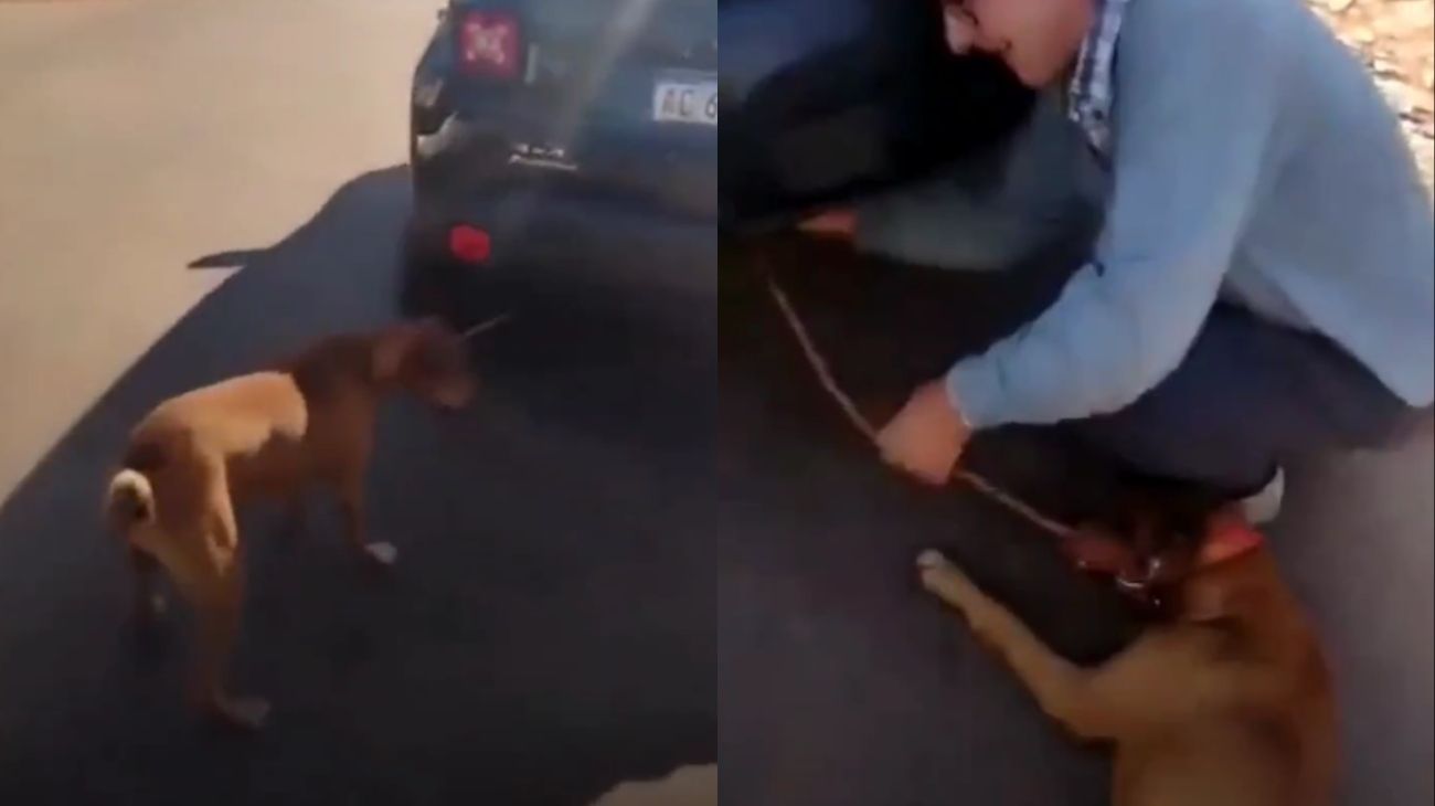 Video | Maltrato animal en Misiones: ató a un perro al auto y lo arrastró