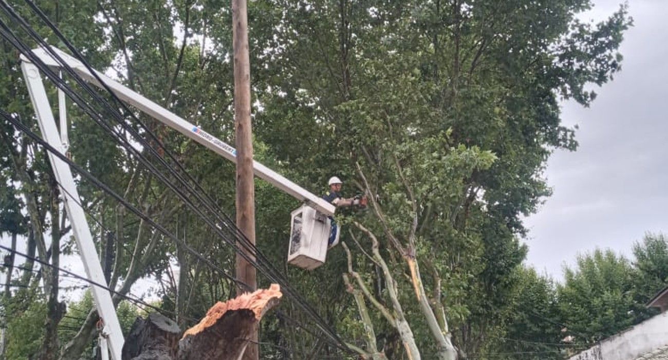 Enel en América Latina: rentabilidad sin compromiso