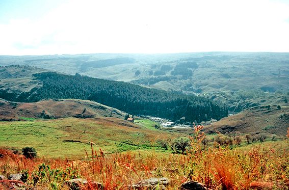 Prevén una fuerte temporada veraniega para la Provincia