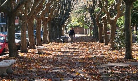 AMBA: ¿Cómo estará el clima este fin de semana?