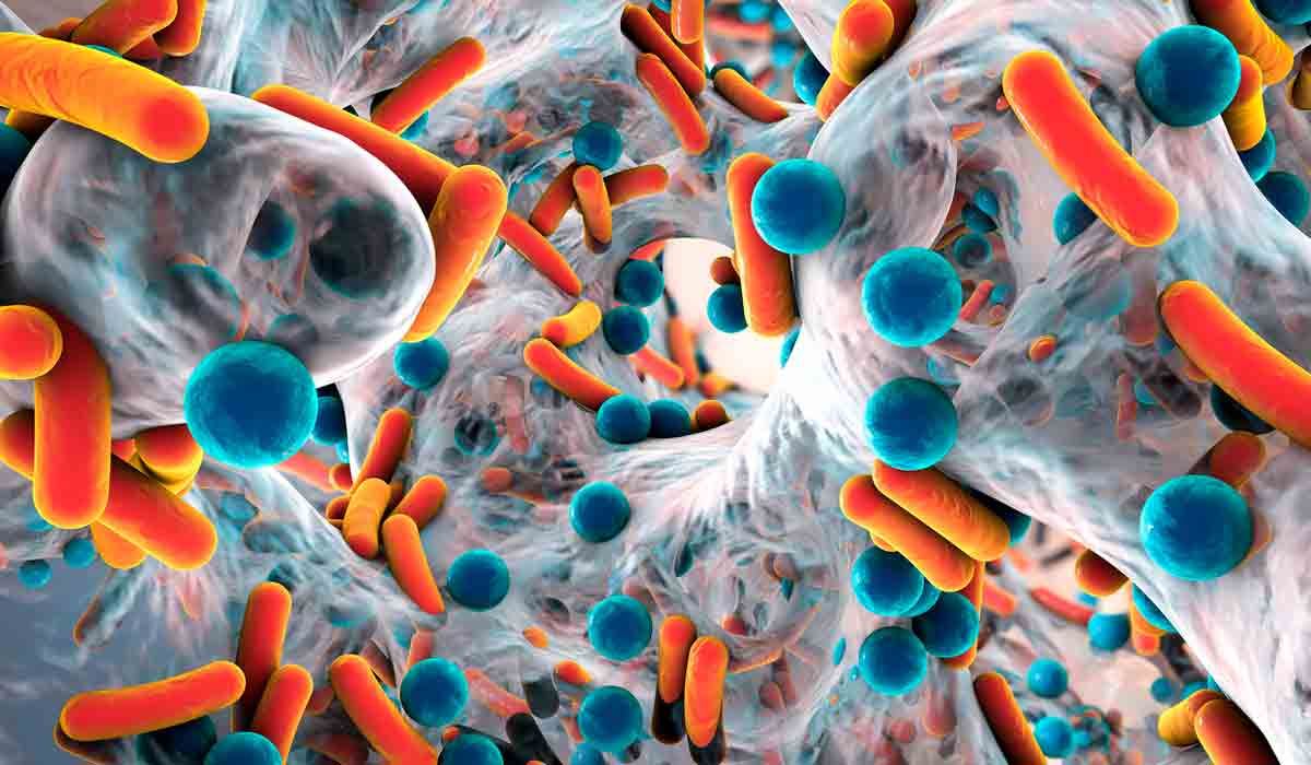 La microbiota también se encuentra en emergencia alimentaria