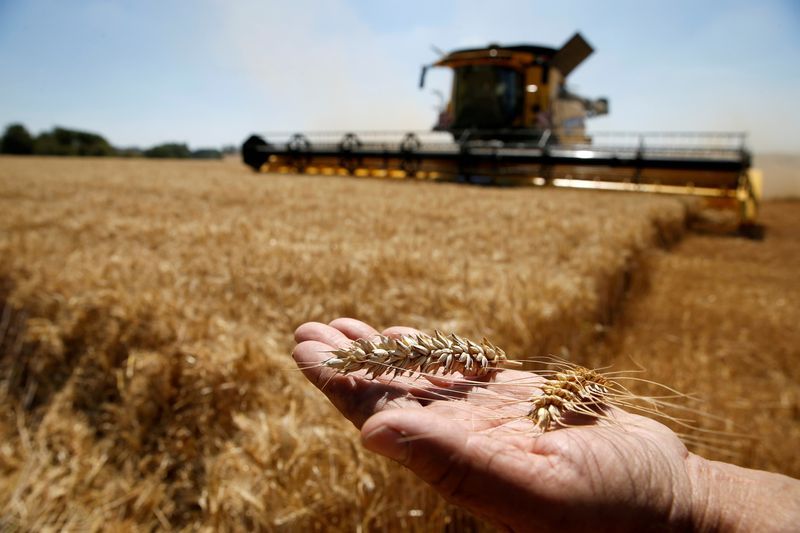 Clima y financiamiento: los principales problemas del campo