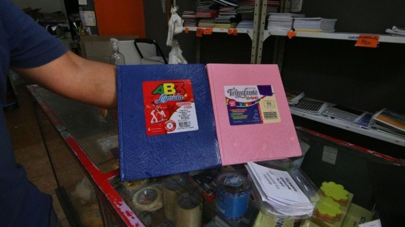 Polémica en una escuela de Rosario: pidieron cuaderno rosa para nenas y celeste para nenes