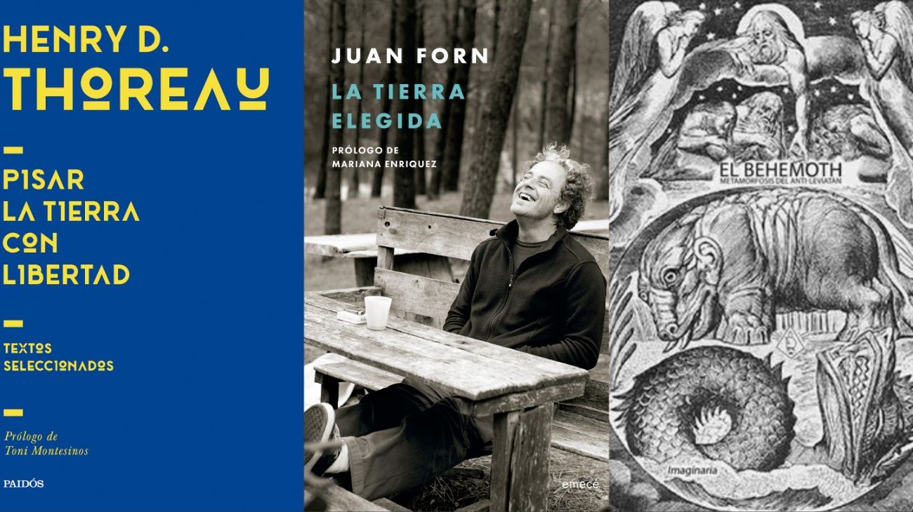Agenda Cultural: qué leer esta semana