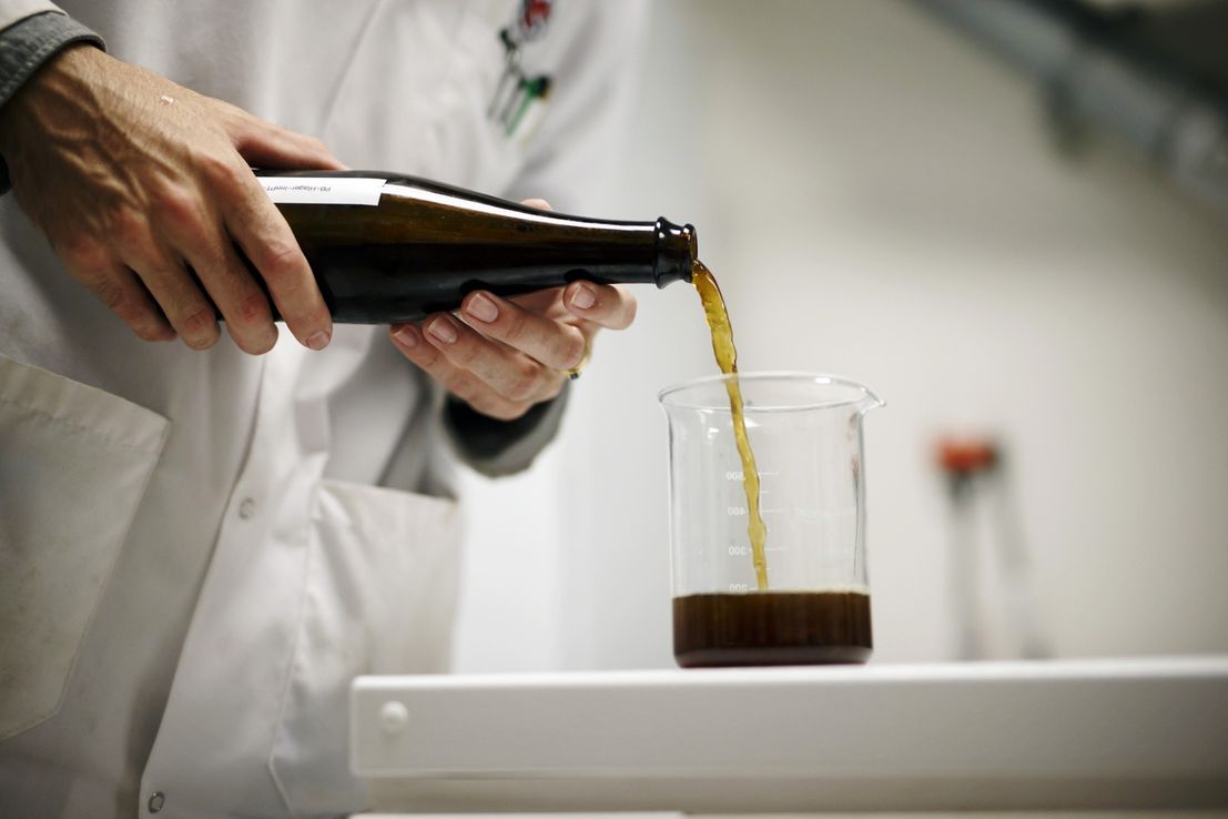 Científicos compiten para que el cannabis sea como el alcohol