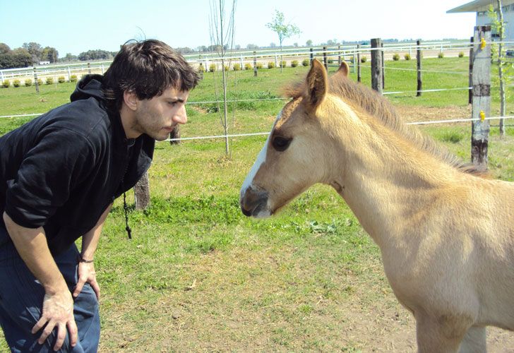 Científicos de la UBA exportan tecnología para clonar caballos