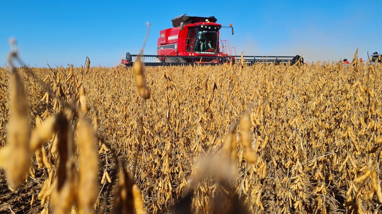 La inversión en la compra de un campo se puede recuperar a los 76 años