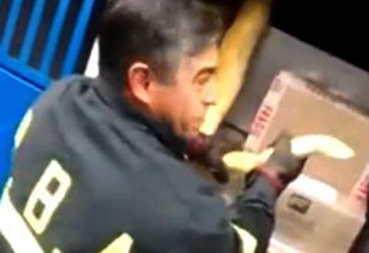 Encontraron una serpiente pitón en la baulera de un micro