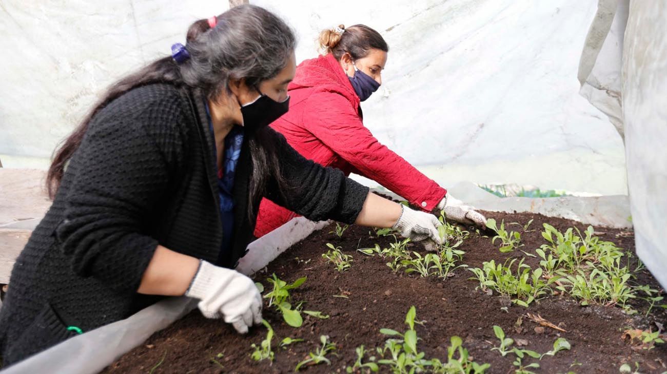 El gobierno prevé blanquear a un millón de trabajadores antes de fin de año