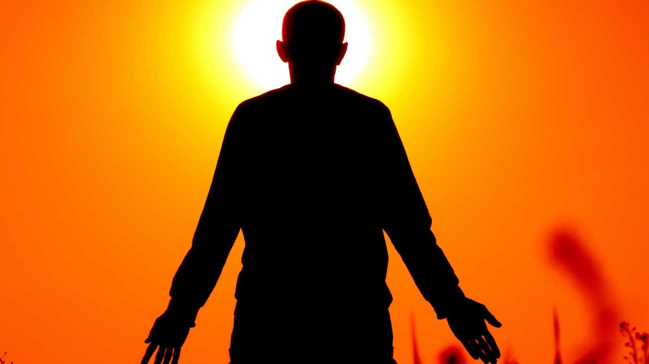 El homo economicus y el homo solidarius