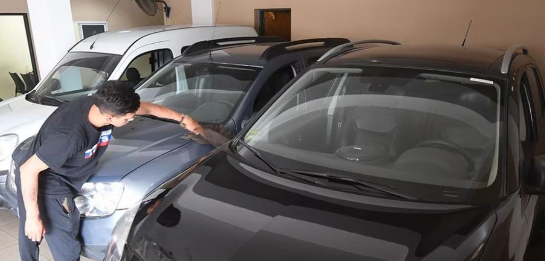 AFIP refuerza controles en la compra venta de autos usados