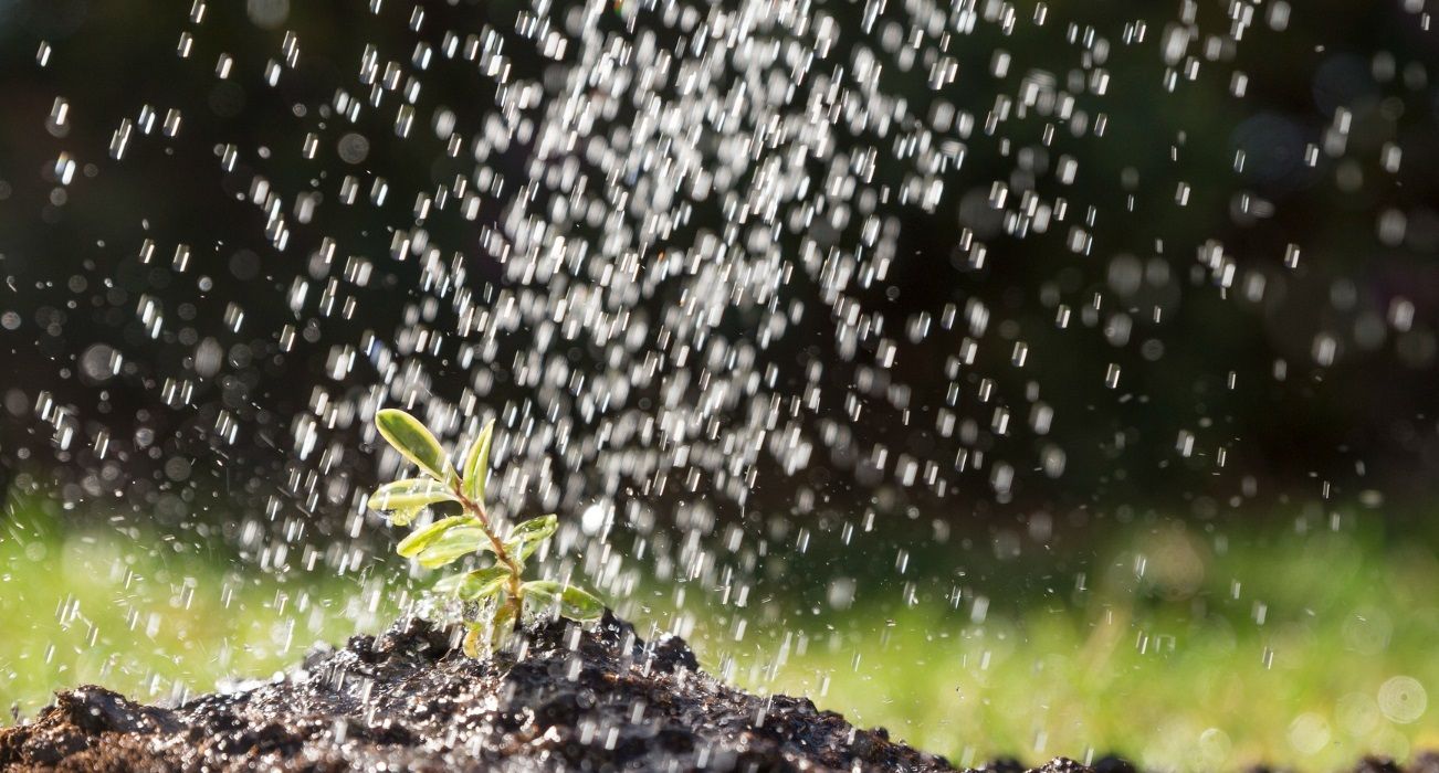 Se estima que el 70% del agua que se usa para regar, se pierde