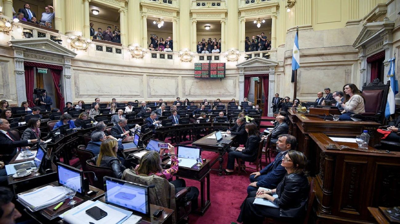 Ley Bases: “Si no tiene este apoyo político, el Gobierno va a perder calidad institucional”