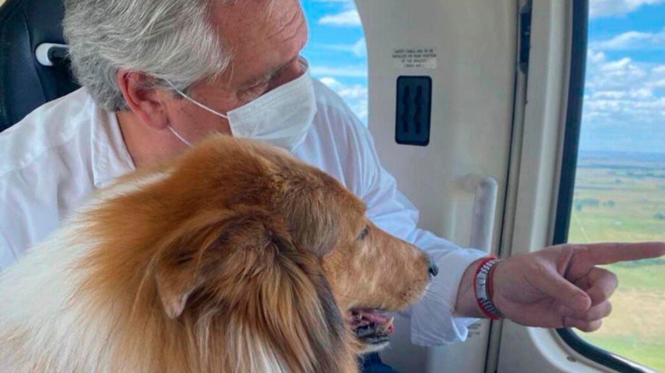 Los momentos más tiernos y divertidos de Dylan, el perro de Alberto Fernández