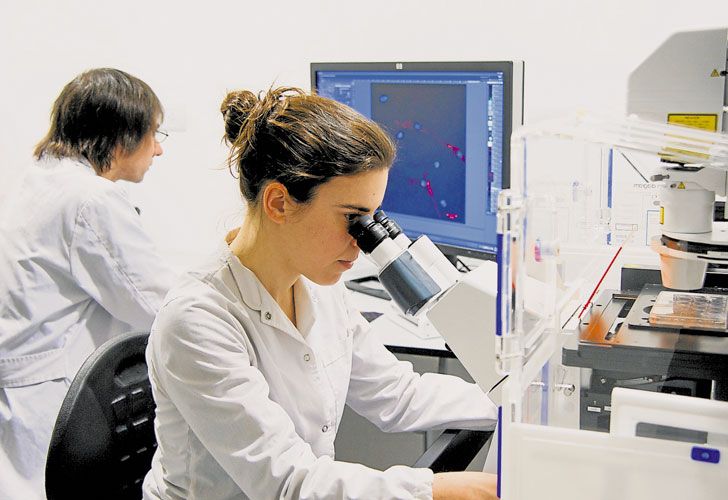 Bajó un 40% la solicitud de patentes argentinas en CyT