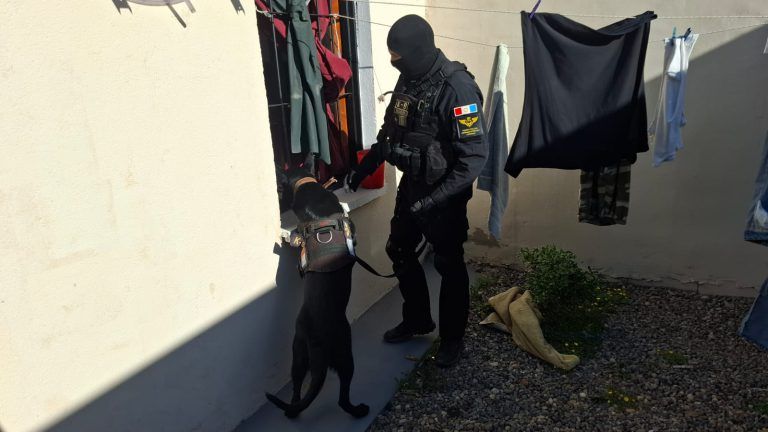 Cayó importante banda narco: cinco detenidos y 48 panes de cocaína valuados en 1800 millones de pesos