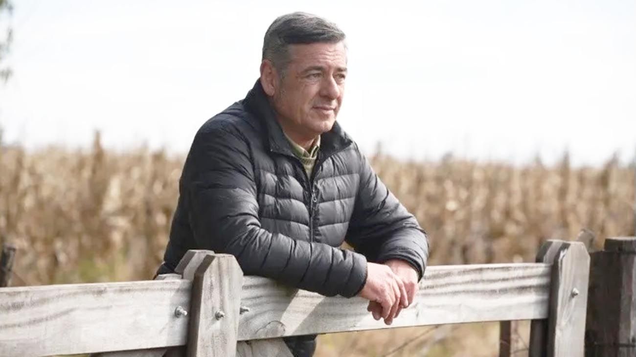 Nicolás Pino: "El precio de la hacienda se desmoronó pero en la góndola no se refleja"