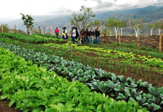 El agroturismo: nuevo paradigma de la vida en la naturaleza