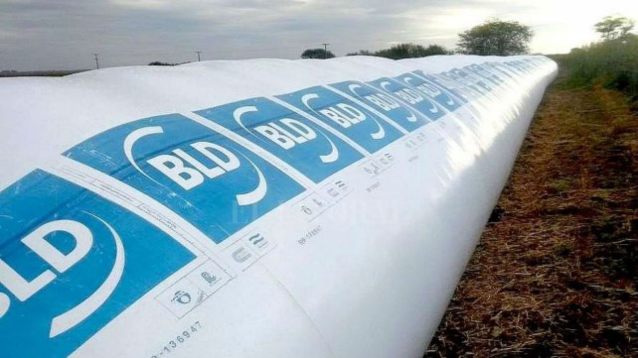 Denuncian a una corredora de granos que colapsó y perjudicó a 1.500 productores