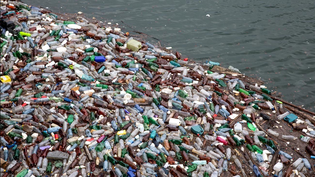 Cuáles son las principales causas de la contaminación de los mares