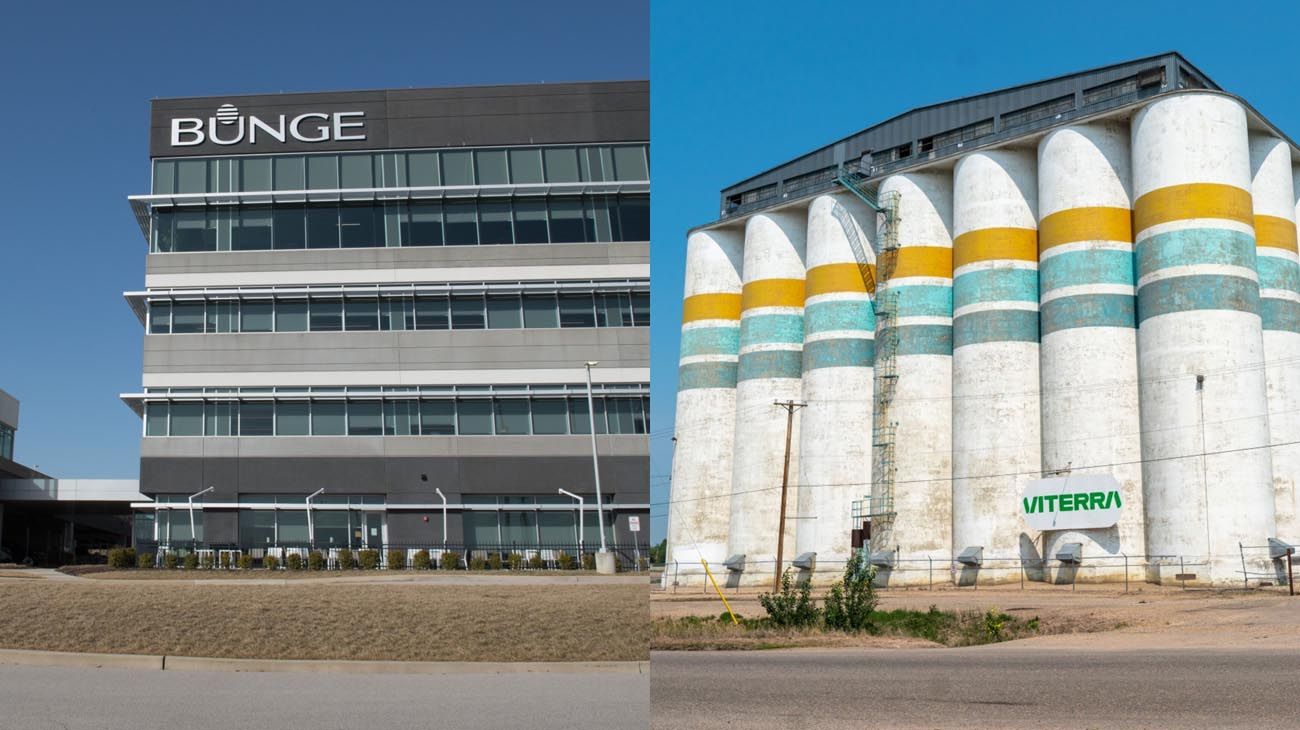 La fusión Bunge - Viterra podría enfrentar un examen de los reguladores antimonopolio