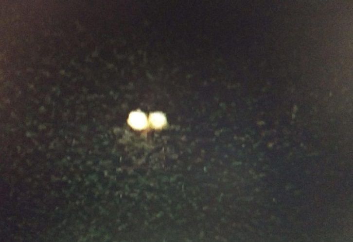 En Salta aseguran que se contactaron con extraterrestres